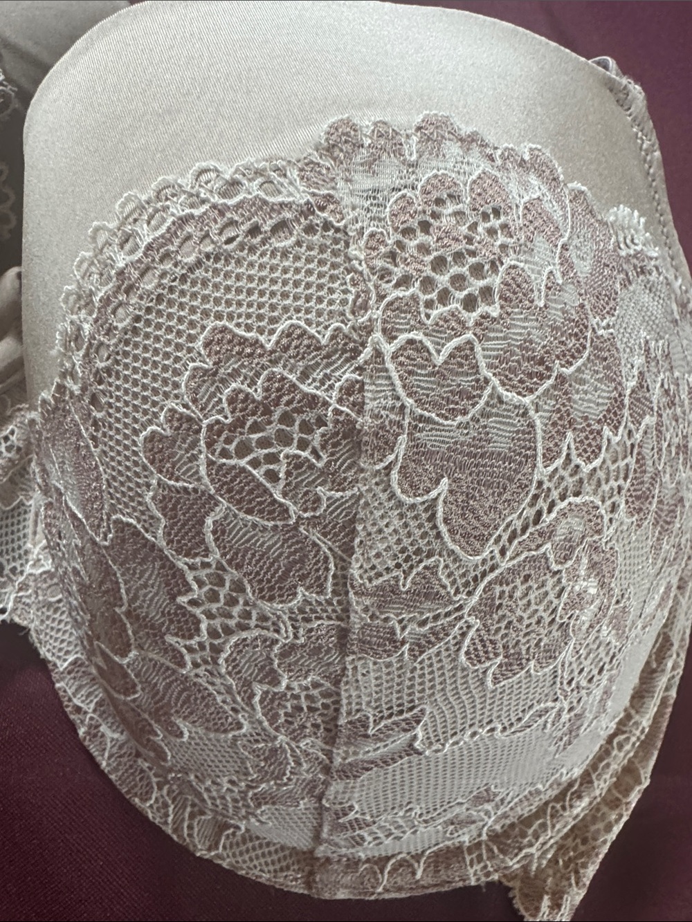 Dorina Underwire Bra Taupe / Light Beige with Ivory / Taupe Lace Overlay - 38 DD - Picture 12 of 12